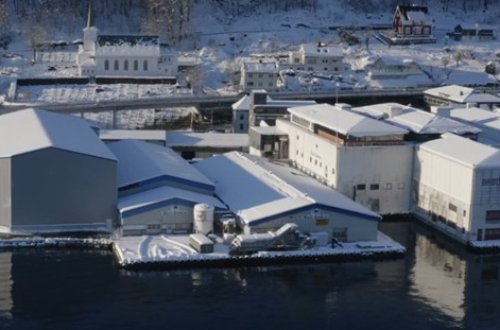 Måløy Seafood løfter mattryggheten med sertifisering